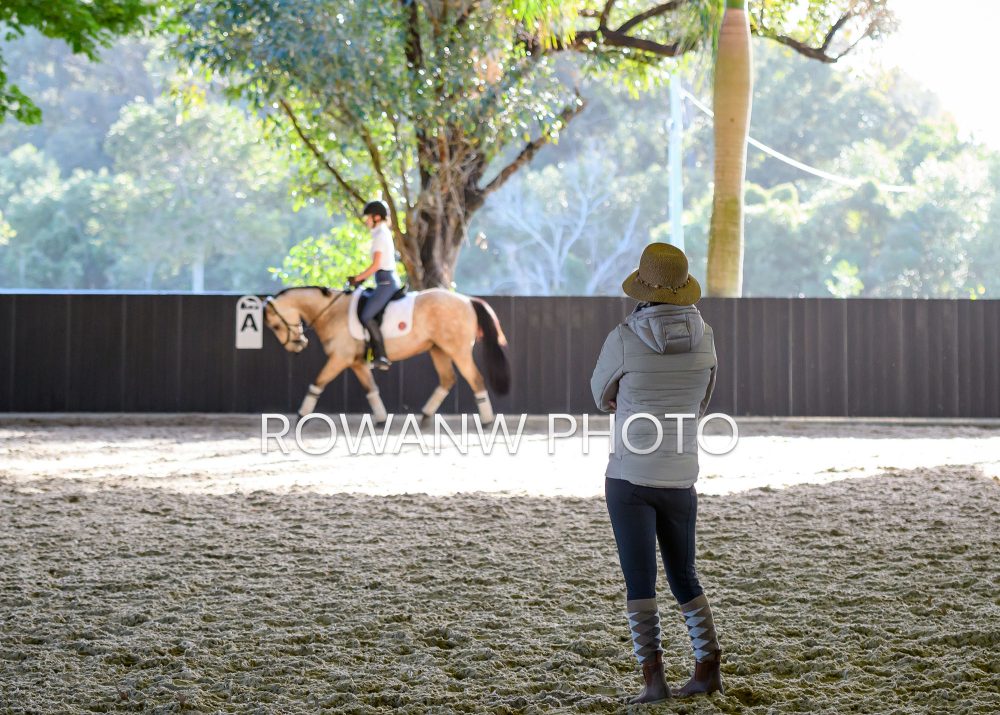 Sat 6 Jul – Social Dressage Day